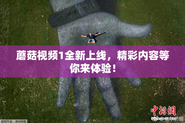 蘑菇视频1全新上线，精彩内容等你来体验！