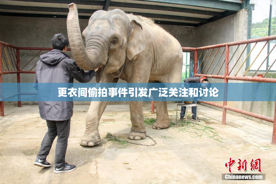更衣间偷拍事件引发广泛关注和讨论