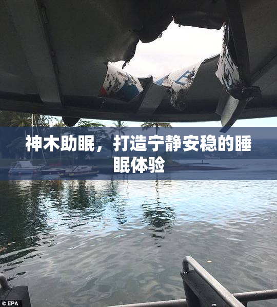 神木助眠，打造宁静安稳的睡眠体验
