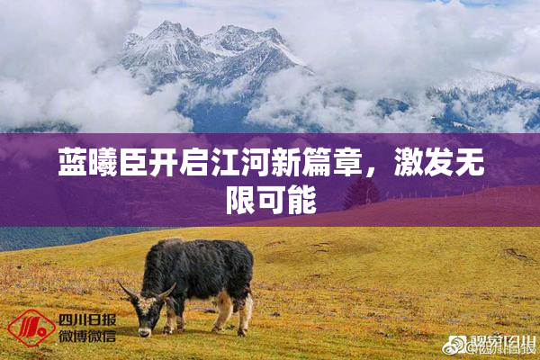 蓝曦臣开启江河新篇章，激发无限可能