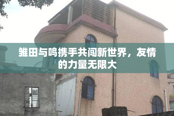 雏田与鸣携手共闯新世界，友情的力量无限大
