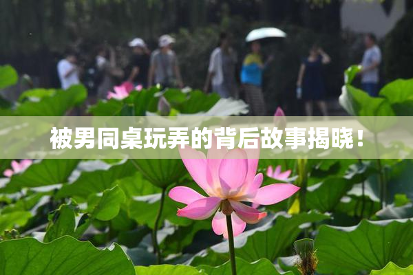 被男同桌玩弄的背后故事揭晓！