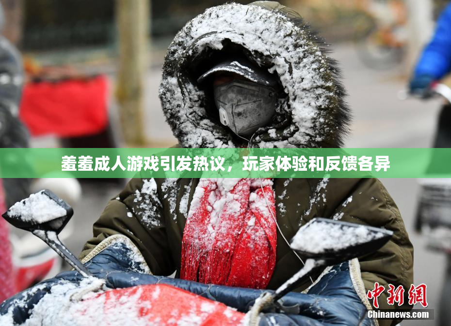 羞羞成人游戏引发热议，玩家体验和反馈各异