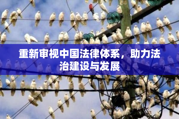 重新审视中国法律体系，助力法治建设与发展