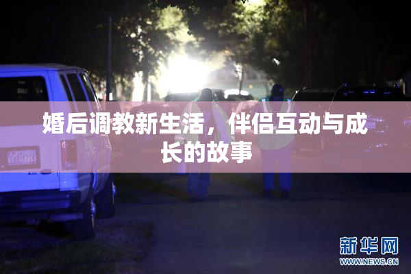 婚后调教新生活，伴侣互动与成长的故事