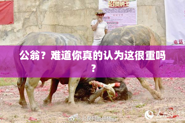 公翁？难道你真的认为这很重吗？