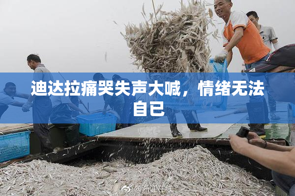 迪达拉痛哭失声大喊，情绪无法自已