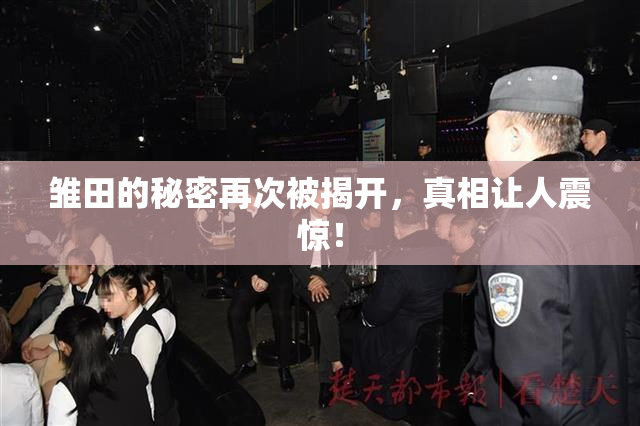 雏田的秘密再次被揭开，真相让人震惊！