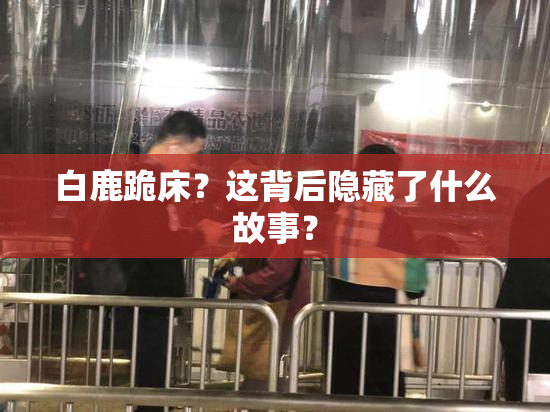 白鹿跪床？这背后隐藏了什么故事？