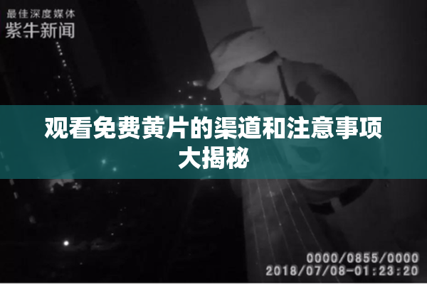 观看免费黄片的渠道和注意事项大揭秘