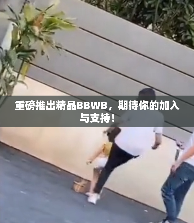 重磅推出精品BBWB，期待你的加入与支持！