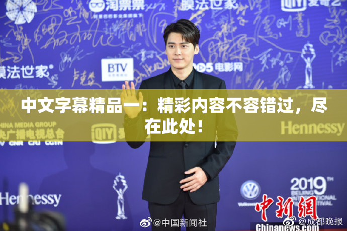 中文字幕精品一：精彩内容不容错过，尽在此处！