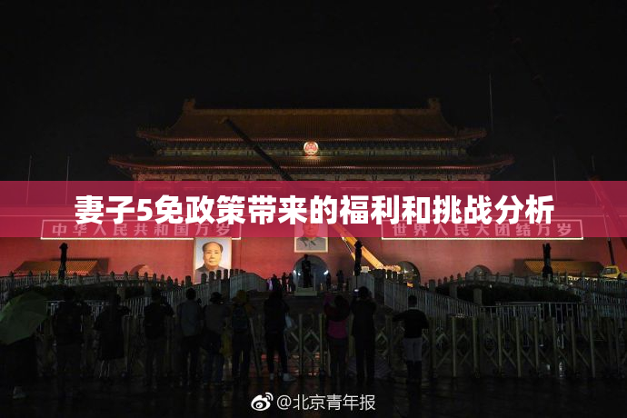 妻子5免政策带来的福利和挑战分析