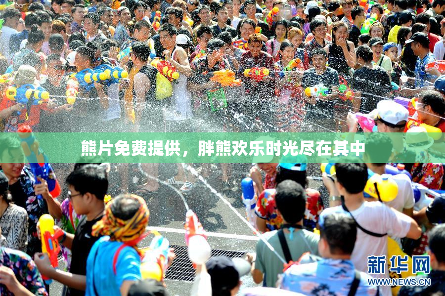 熊片免费提供，胖熊欢乐时光尽在其中