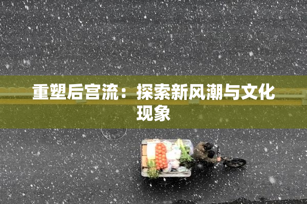重塑后宫流：探索新风潮与文化现象