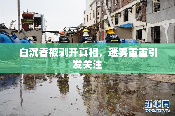 白沉香被剥开真相，迷雾重重引发关注