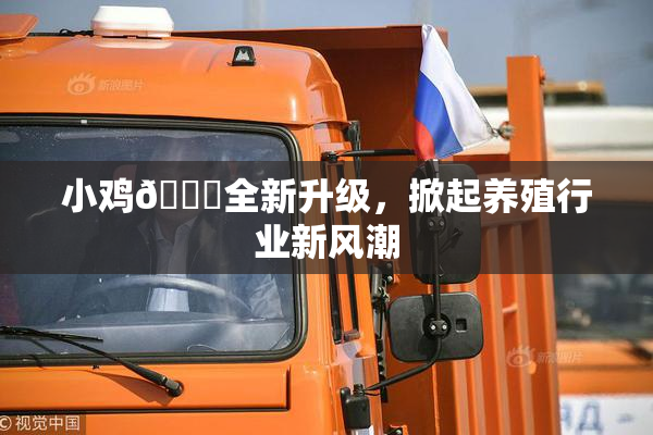 小鸡🐔全新升级，掀起养殖行业新风潮