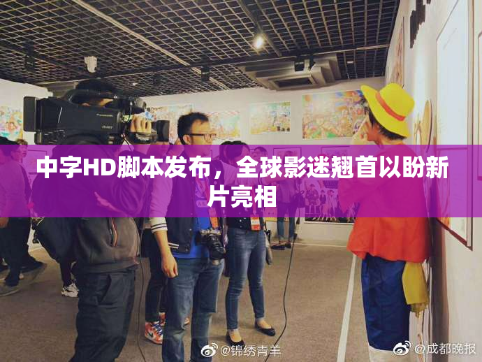 中字HD脚本发布，全球影迷翘首以盼新片亮相