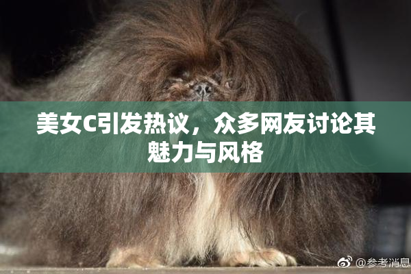 美女C引发热议，众多网友讨论其魅力与风格