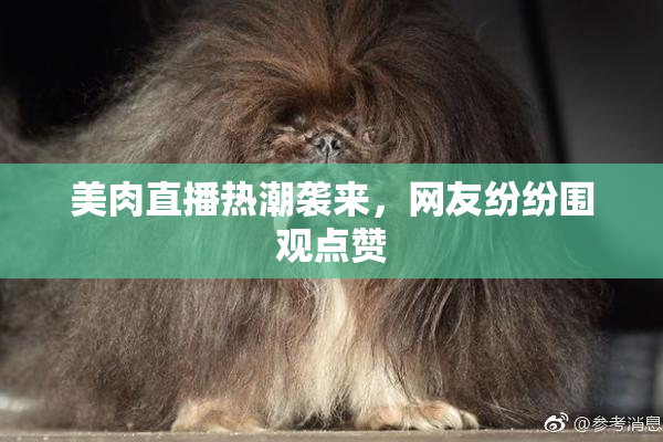 美肉直播热潮袭来，网友纷纷围观点赞