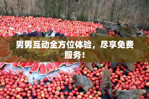 男男互动全方位体验，尽享免费服务！