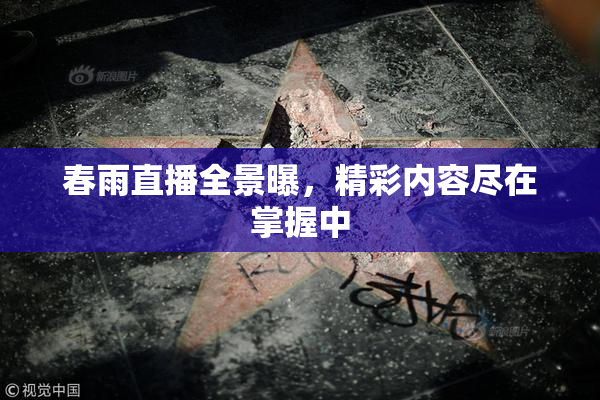 春雨直播全景曝，精彩内容尽在掌握中