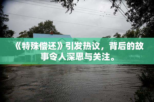 《特殊偿还》引发热议，背后的故事令人深思与关注。