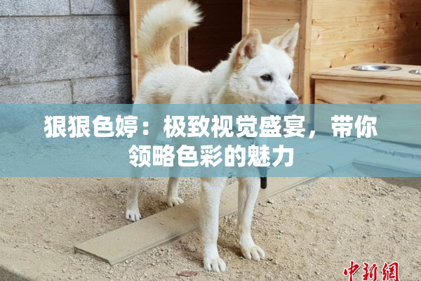 狠狠色婷：极致视觉盛宴，带你领略色彩的魅力