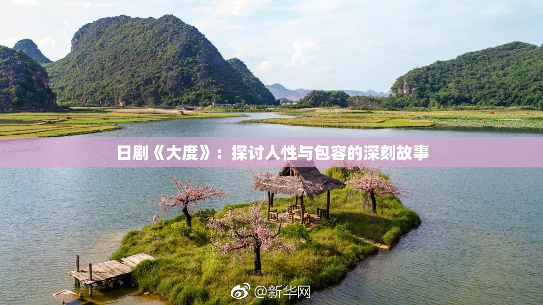 日剧《大度》：探讨人性与包容的深刻故事