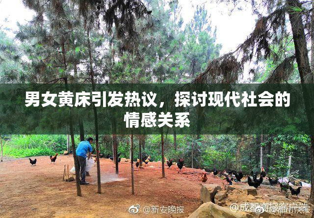 男女黄床引发热议，探讨现代社会的情感关系