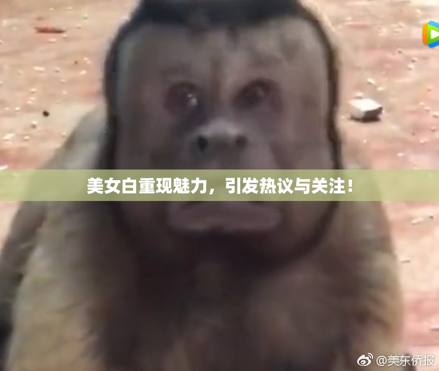 美女白重现魅力，引发热议与关注！