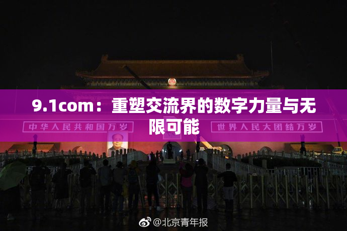 9.1com：重塑交流界的数字力量与无限可能