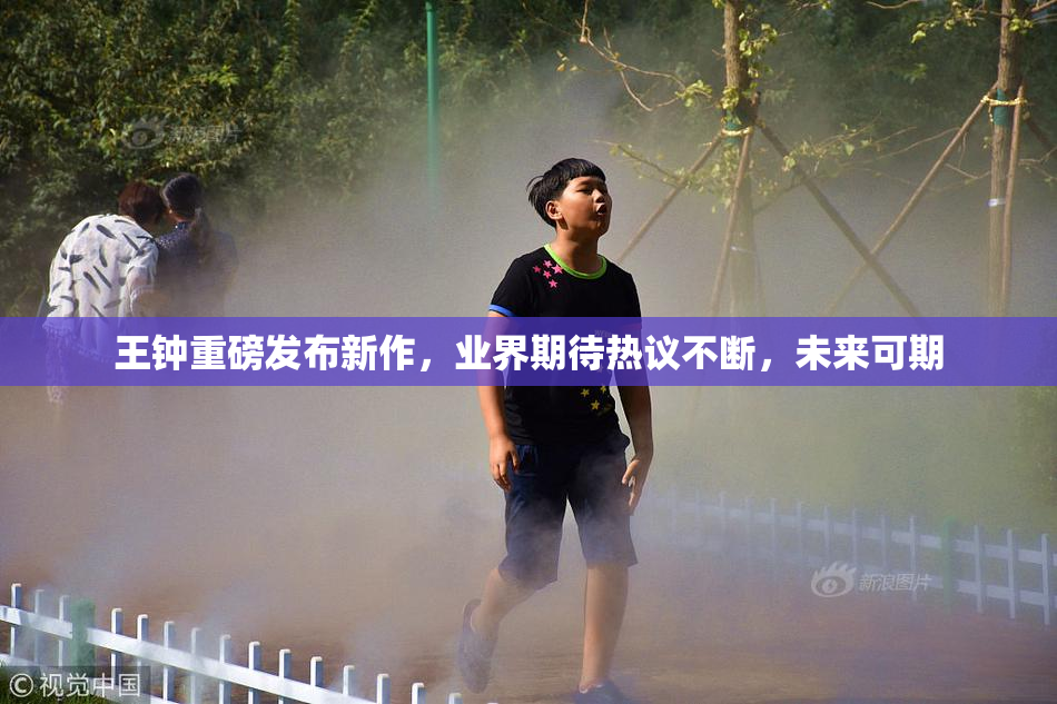 王钟重磅发布新作，业界期待热议不断，未来可期