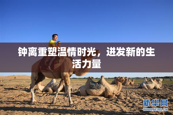 钟离重塑温情时光，迸发新的生活力量