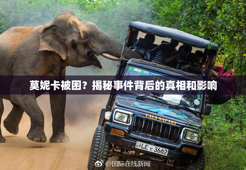 莫妮卡被困？揭秘事件背后的真相和影响