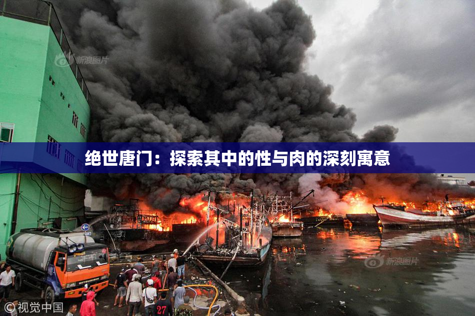 绝世唐门：探索其中的性与肉的深刻寓意