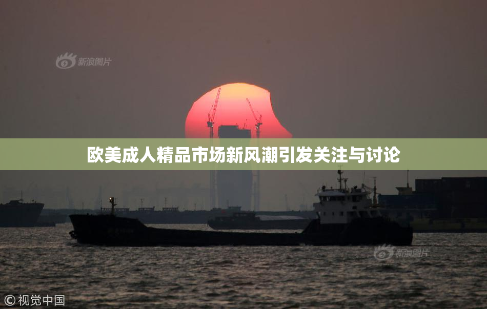 欧美成人精品市场新风潮引发关注与讨论