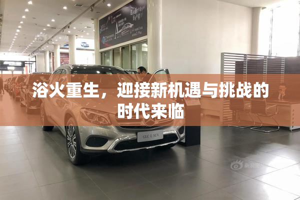 浴火重生，迎接新机遇与挑战的时代来临