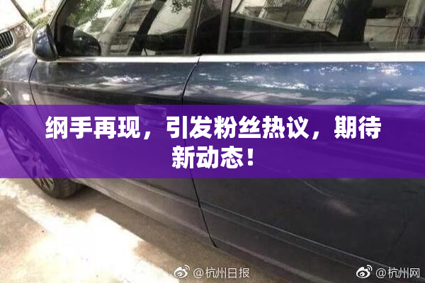 纲手再现，引发粉丝热议，期待新动态！