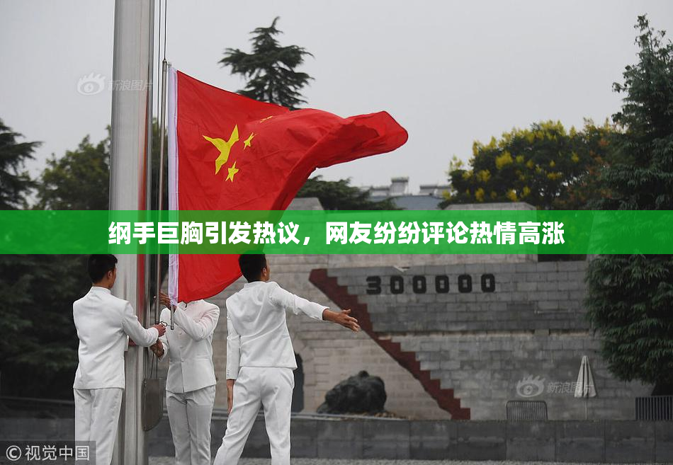 纲手巨胸引发热议，网友纷纷评论热情高涨