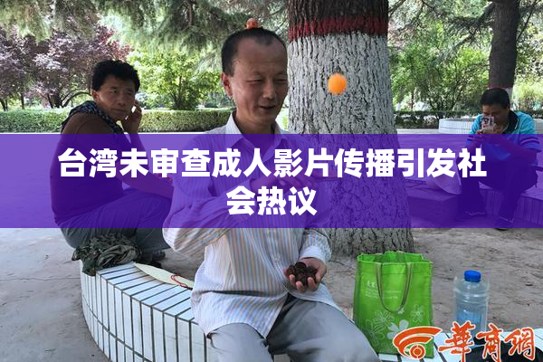 台湾未审查成人影片传播引发社会热议