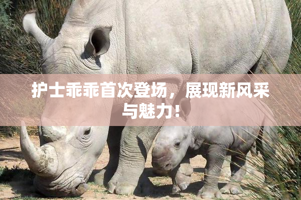 护士乖乖首次登场，展现新风采与魅力！