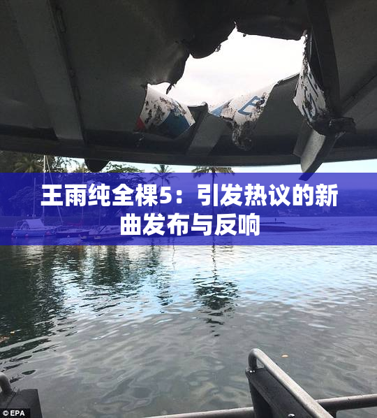 王雨纯全棵5：引发热议的新曲发布与反响