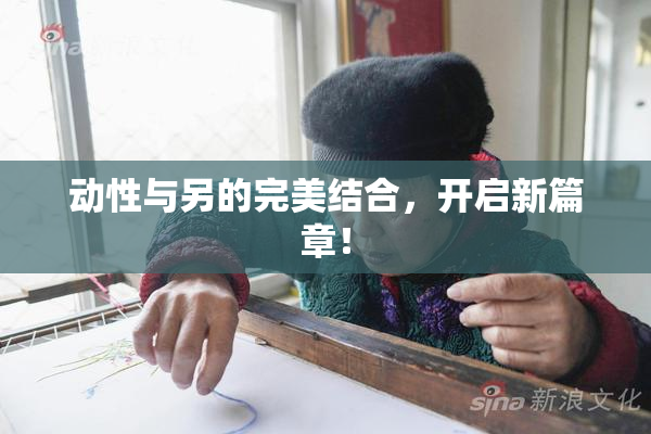 动性与另的完美结合，开启新篇章！
