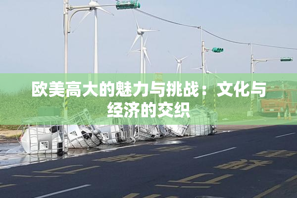 欧美高大的魅力与挑战：文化与经济的交织