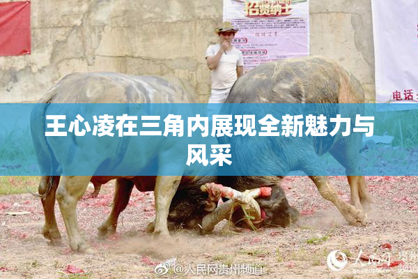 王心凌在三角内展现全新魅力与风采