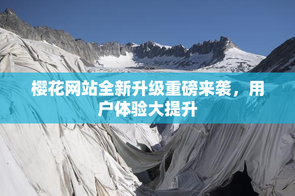 樱花网站全新升级重磅来袭，用户体验大提升