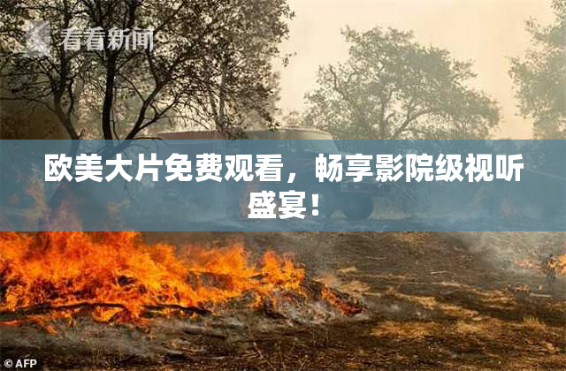 欧美大片免费观看，畅享影院级视听盛宴！