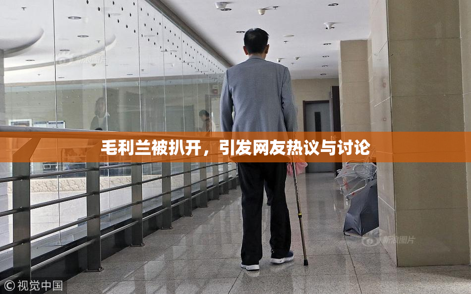 毛利兰被扒开，引发网友热议与讨论