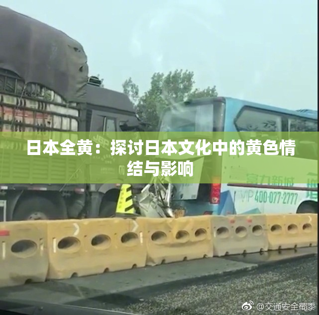 日本全黄：探讨日本文化中的黄色情结与影响